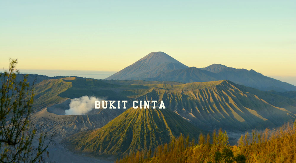 Bukit Cinta: Spot Romantis untuk Menikmati Keindahan Bromo